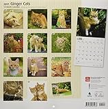 Image de Ginger Cats 2017 Square (Multilingual Edition)