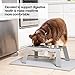 PetFusion Elevated Dog Bowls in Premium Anodized Aluminum Stand (Tall 8