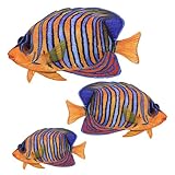 Regal Angelfish Tropical Fish Wall Mural Stickers Bath