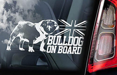 English Bulldog - Car Window Sticker - Dog Sign - Internal Reverse Printed - V01