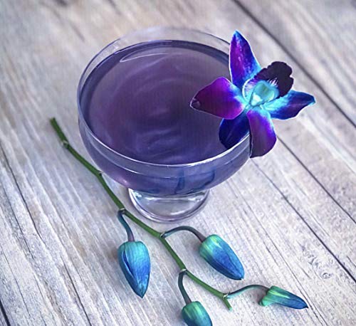 Jardin - Lavender Infused Mixer to Enhance Champagne, Spirits and Non Alcoholic Cocktails, Low Sweetness, Aromatic, Floral, Non-GMO, No Preservatives, Less than 1 g sugar, Shimmer (750 ml)