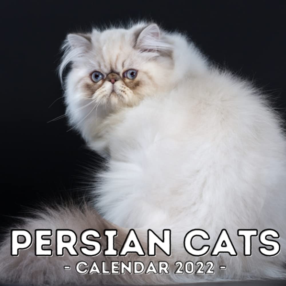 Persian Calendar 2022 Persian Cats Calendar 2022: 16-Month Calendar, Cute Gift Idea For Persian  Cat Lovers, Women & Men: Press, Lovely Garage: 9798473117745: Amazon.com:  Books