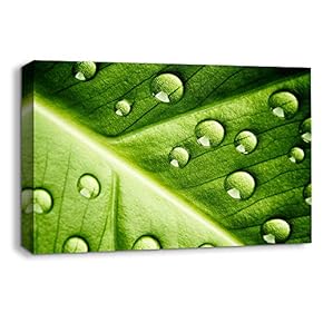 Canvas Wall Art Leaf Veins Pictures Home Wall Decorations for Bedroom Living Room Paintings Canvas Prints Framed - 12x18 inches