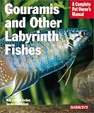 Gouramis and Other Labyrinth Fishes (Complete Pet Owner's Manual) by Gary Elson, Oliver Lucanus