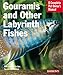 Gouramis and Other Labyrinth Fishes (Complete Pet Owner's Manual) by Gary Elson, Oliver Lucanus