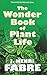 The Wonder Book of Plant Life