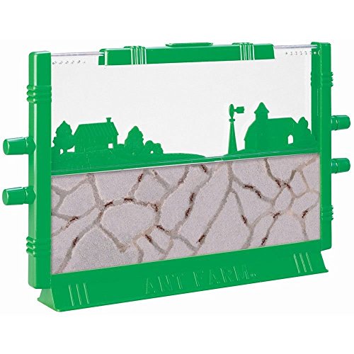 Big Game Toys~ANT Farm~ Live Habitat Free Ants