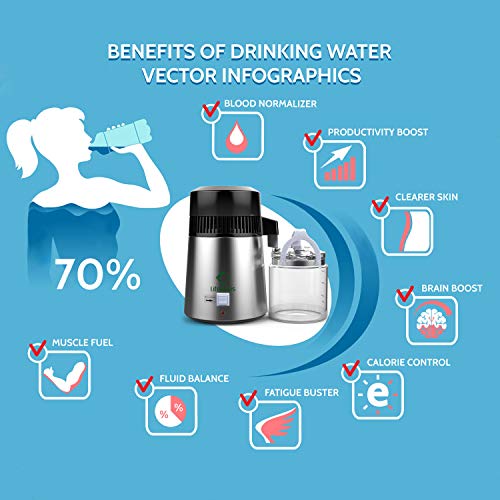 Life Basis Water Distiller Stainless Steel 4 Liter Water Distillation with Glass Carafe Nozzle Insert and Pure Efficiently Make Clean Water for Home Use
