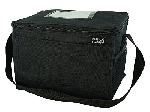Insulated Lunch Cooler Bag, Black