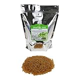Organic Kamut Seed- 2.5 Lb- Kamut Grain Seeds- For Growing Kamut Grass, Flour, Bread, Baking, Cooking, Food Storage, Sprouting