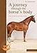 A Journey Through the Horse's Body: The Anatomy of the Horse by Dr. Christina Fritz