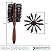 Spornette Italian Rounder Boar Bristle Round Hair Brush for Women & Men - Large Round Brush for Blow Drying, Styling & Volumizing - Wooden Brush for Medium to Long Thick, Fine, Curly or Straight Hair