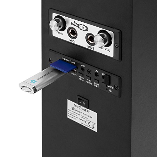 Altavoz de torre Karaoke Bluetooth con micrófono (Puerto USB con MP3, ranura SD, radio FM