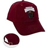 Desert Cactus University of Montana Baseball Hat Grizzlies UM Griz UMont Brimmed Embroidered Cap Adjustable Cloth Strap Adult (Style B) Maroon