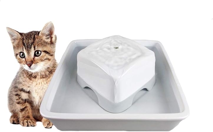 Amazon Com Gyj Mmm Circulating Filter Square Ceramic Water Feeder