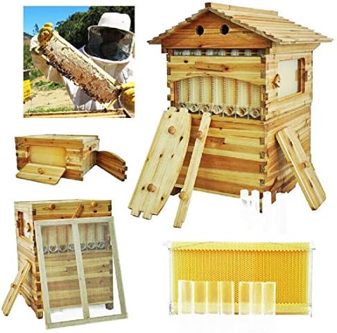 Thaisan7, Upgraded Beehive Brood Box + 7pcs Free Flow Honey Hive Frames Beekeeping