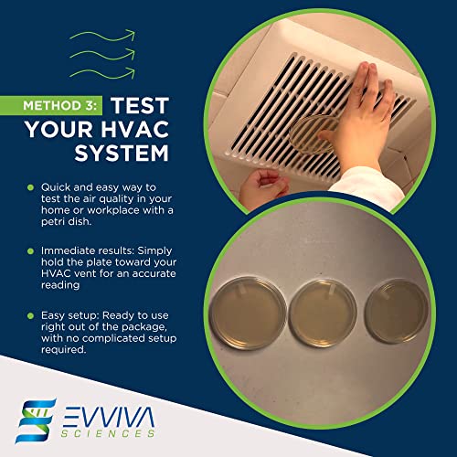 Evviva Sciences Mold Test Kit for Home 10 Simple Detection Tests w