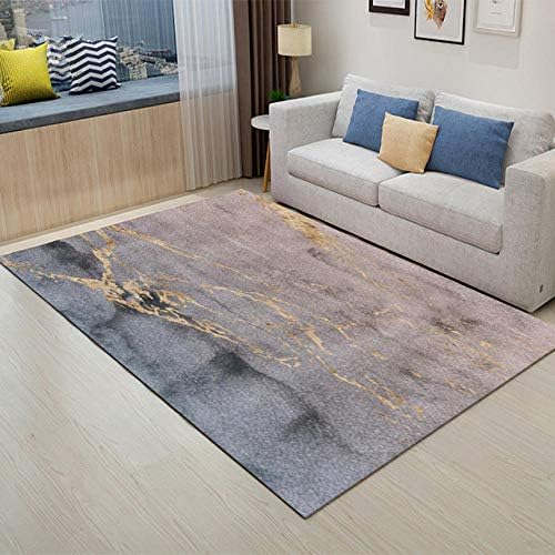 DJkkyl Modern Carpet For Living Room Abstract minimalist decorative bedroom corridor balcony easy to clean carpet,80×160cm