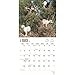 Goats in Trees 2017 Wall Calendar
