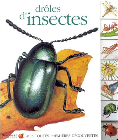 Download Drôles d'insectes
