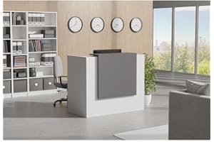 UGOS ICN 53" Modern Reception Desk, Multifunctional Modern Transaction Counter Top, Laminate Desktop, Standing Front Table for Office, Home, School, Salon, Spa - White & Anthracite Gray