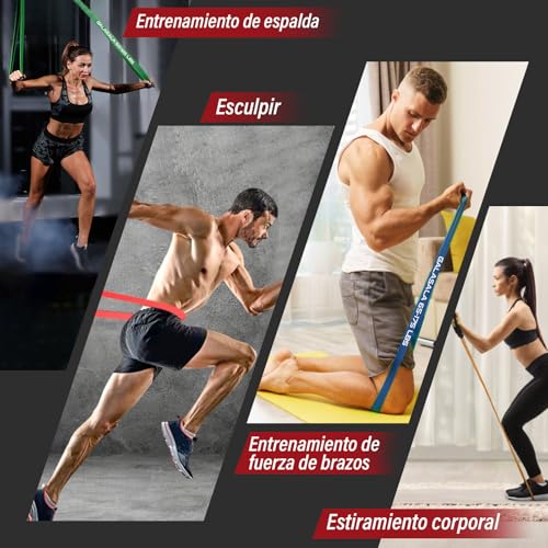 GALASALA 15 PCS Ligas de Resistencia para Ejercicio, Bandas de Resistencia para Ejercicio con Anclaje Puerta, Asas, Bolsa y 3 Bandas Elásticas, Ligas de Ejercicio Aptas para Entrenamiento y Fitness