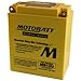 MotoBatt MB12U Lead_Acid_Battery primary