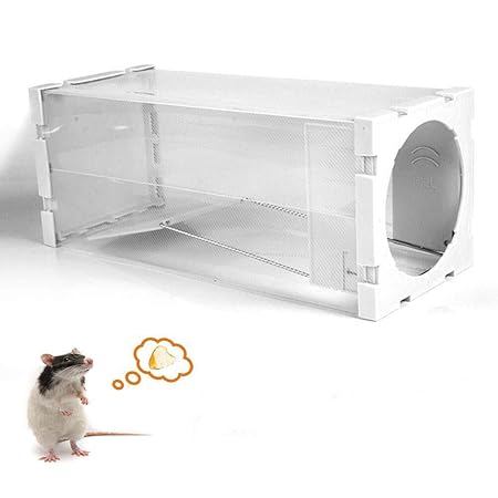 2win2buy Trappola Per Topi Nonviolenta Riutilizzabile In