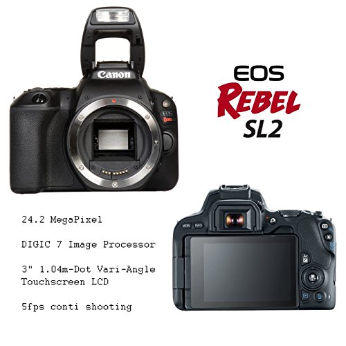 1 Canon+EOS+Rebel+SL2+Accessories