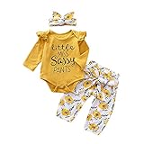 PigMaMa 3 Pcs Infant Baby Girl Clothes Ruffle Long