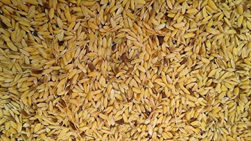 Amazon Com Diamond G Brown Rice 5lbs Brown Rice Produce Grocery Gourmet Food