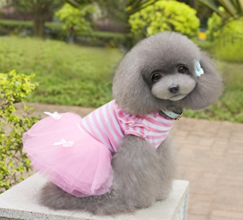 Alroman Dog Dresses Pets Clothes Pink Pet Dresses Doggie Skirt Puppy Clothes Dog Clothes Puppy Apparel Cat Dresses Dog Outfits(L)