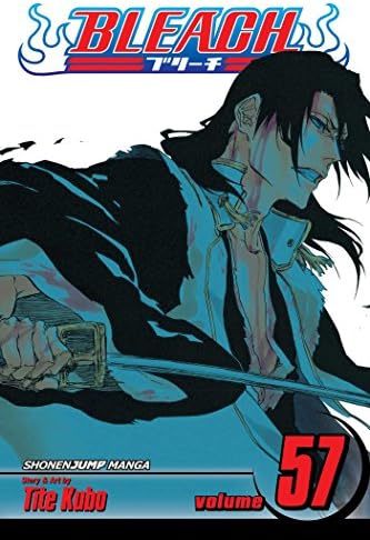 Amazon.com: Bleach, Vol. 58: The Fire: 9781421561356: Kubo, Tite