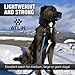 ATLIN Dog Leash with Padded Handle – Strong for Medium and Large Dogs – DynamicComfort Climbing Rope Pet Lead - 4 FT or 6 FT Leashes for The Perfect Amount of Control - Reflective Leash for Safety