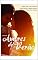 Livro Amores de Verão