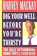 Dig Your Well Before You're Thirsty: The Only Networking Book You'll Ever Need