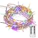 echosari 100 LEDs Outdoor LED Fairy String Lights Battery Operated with Remote (Dimmable, Timer, 8 Modes) - Multicolor