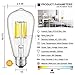 CRLight 5000K LED Edison Bulb 10W Daylight White 1000LM, 100W Incandescent Equivalent, Replace 20W Compact Fluorescent CFL Bulbs, E26 Medium Base ST64 Vintage LED Filament Bulbs, Non-dimmable, 3 Pack