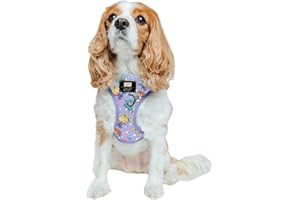 Sassy Woof Dog Adjustable Harness - Nickelodeon Rugrats™ - S, Breathable Mesh, No Pull Design with Two D-Rings, Patented Design, Perfect for Small Dogs and Puppies - Officially Licensed