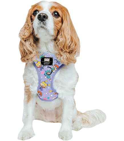 Sassy Woof Garfield™ Hundeleine – 152,4 Cm, Neopren-Griff, Offizielles Lizenzprodukt