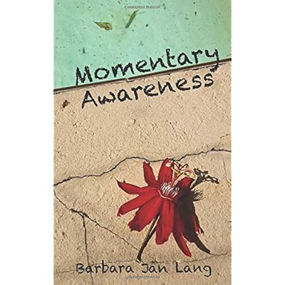 Momentary Awareness Momentary Awareness