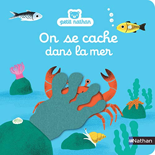 Amazon Com On Se Cache Dans La Mer Guillerey Aurelie Books