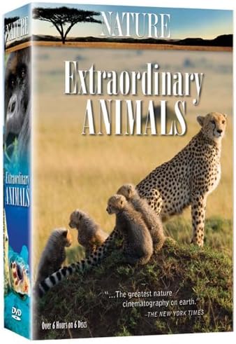 Amazon.com: Wildlife on the Prowl [DVD] : Artist Not Provided
