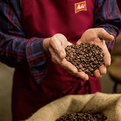 Melitta Harmonie Mild Filter-Kaffee 500g, gemahlen, Pulver für Filterkaffeemaschinen, milde Röstung, geröstet in… – Bild 6