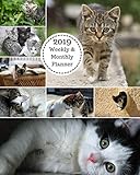 2019 Weekly and Monthly Planner: Kitten Collage Daily Organizer -To Do -Calendar in Review/Monthly Calendar with U.S. Holidays-Notes Volume 1 by All In A Day
