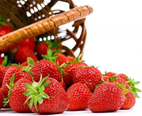 Seascape Everbearing Strawberry 50 Bare Root Plants