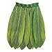 Beistle Ti Leaf Hula Skirt Luau Party Accessory Green Skirt Green One Size (23