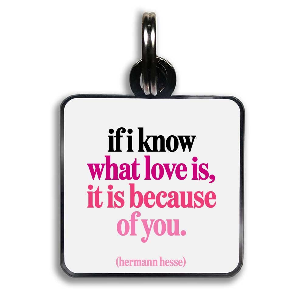 Quotable Pet Collar Charm, If I Know What Love Is It's Because of You, Hermann Hesse, Hard Enamel and Black Nickel Plating