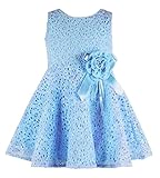Rorychen Baby Girls' Sleeveless Lace Zipper Dress 24 Months Light Blue