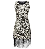 Solatin Women's Vintage 1920s Sequined Embellished Fringed Paisley Flapper Dresses